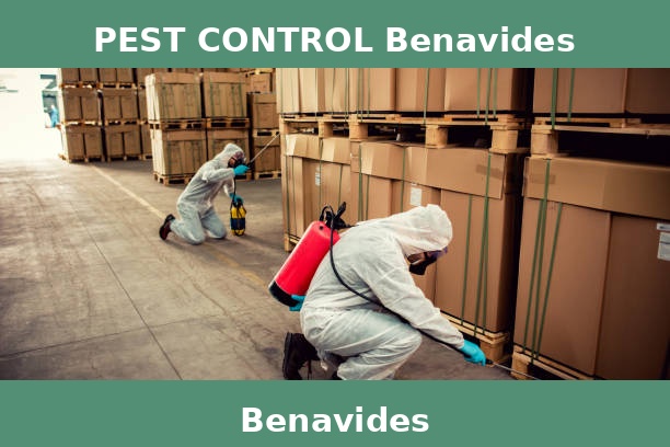 PEST CONTROL Benavides